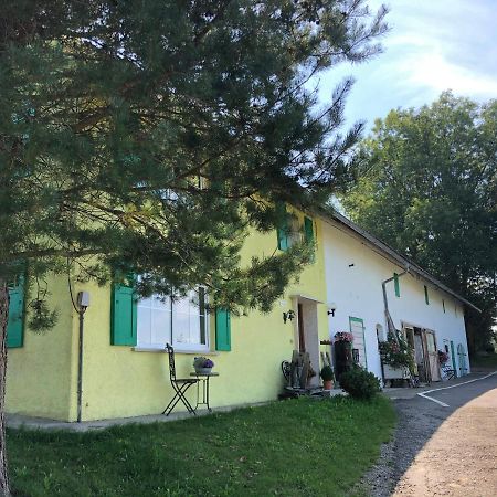 Weiher 1 Villa Rot an der Rot Ngoại thất bức ảnh